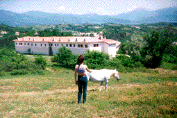 Rozhen Monastery and my sister with a hourse :))